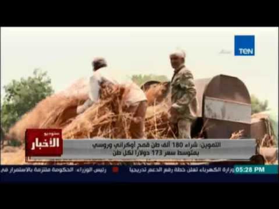 التموين تتعاقد لشراء 180 ألف طن قمح.. وسمر نجيد...