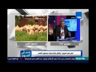 د.سعيد خليل : المسؤول عن فساد القمح  هم القيادات الذين يتلاعبون بصحة المواطنين وقوت الشعب المصري