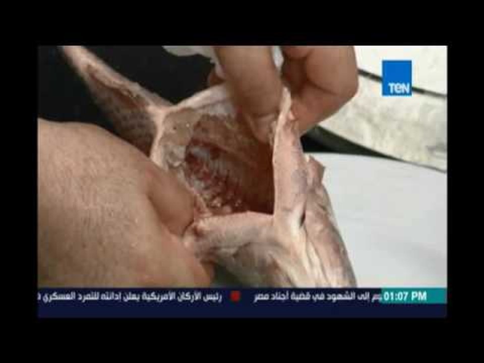 مطبخTEN | سمك بلطي مقلي - سمك موسي بالجنزبيل والليمون - أرز مكسيكي - ملوخية بالجمبري | 2اغسطس
