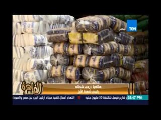 الحكومة تقرر وقف تصدير الأرز وتحدد 2400 جنيه لسعر الطن