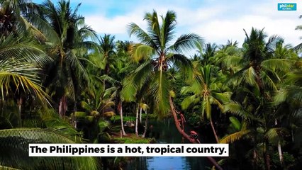 Fish out of water': Ice Hockey in the Philippines