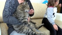 Adana Kahraman Kedi Evde Çıkan Yangında Sahibini Kurtardı