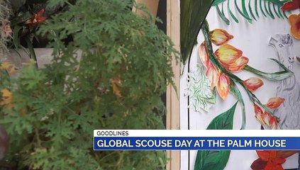 GOODLINES: 1st March 2019