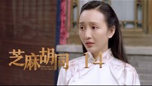 芝麻胡同 14  Memories Of Peking 14（何冰、王鷗、劉蓓等主演）