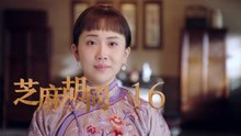 芝麻胡同 16 | Memories Of Peking 16（何冰、王鷗、劉蓓等主演）