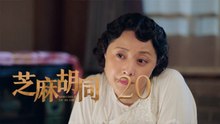 芝麻胡同 20  Memories Of Peking 20（何冰、王鷗、劉蓓等主演）