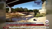 Hallan muestras de sangre abandonadas en rio de Chiapas