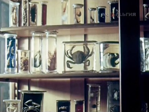 Хочу всё знать. Выпуск 153