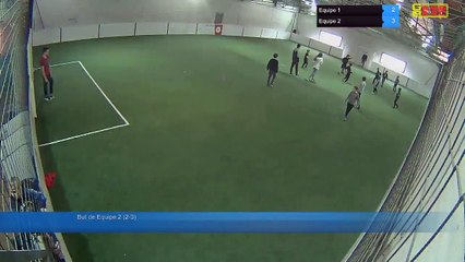But de Equipe 2 (2-3) - Equipe 1 Vs Equipe 2 - 28/02/19 11:00 - Loisir Poitiers - Poitiers Game Parc