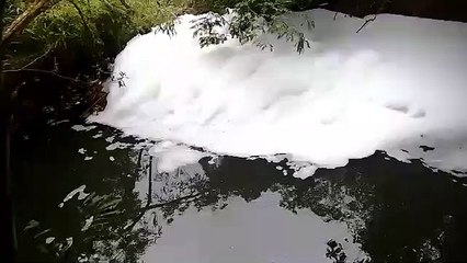 'Espuma' em rio preocupa internauta