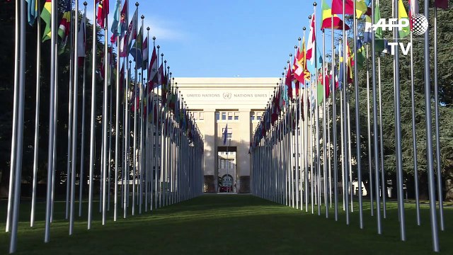 Possíveis crimes contra a humanidade em Gaza