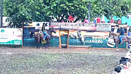 COLEO DE FESTIVAL DE COLONIAS