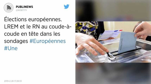 Élections européennes. LREM et le RN au coude-à-coude en tête dans les sondages