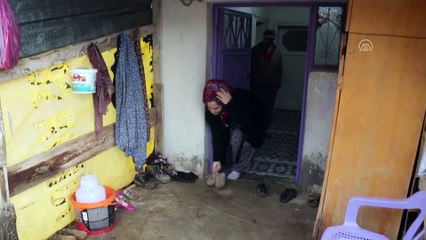 Siirtli Merve devlet desteğiyle hayvancılık yapıyor