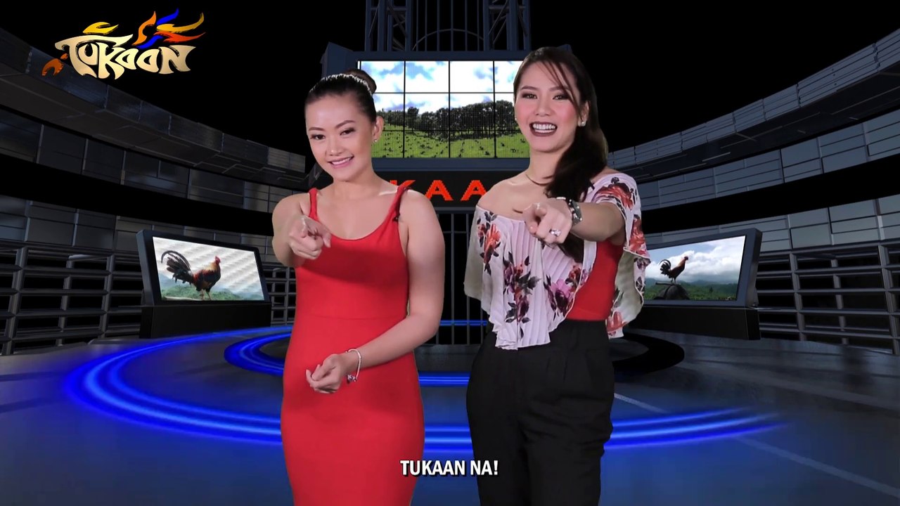 Tukaan – February 24, 2019