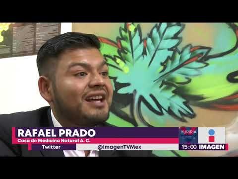 ¿Cómo fumar mariguana sin que te detengan? Amparo en México para uso recreativo de marihuana