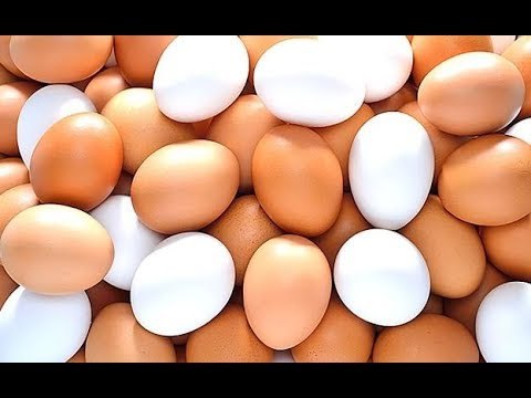 Kilo de huevo en Tijuana llega hasta 70 pesos; esta es la razón | Noticias con Yuriria Sierra