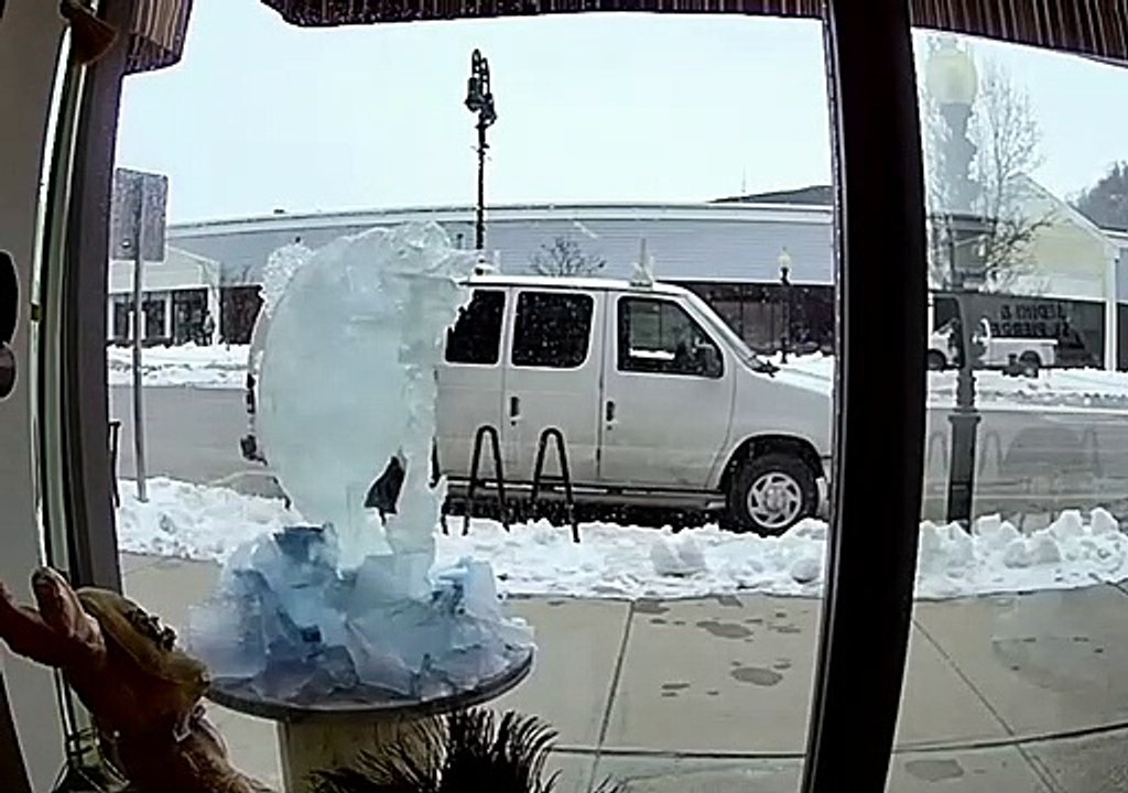 Delicate Ice Sculpture Takes a Dive