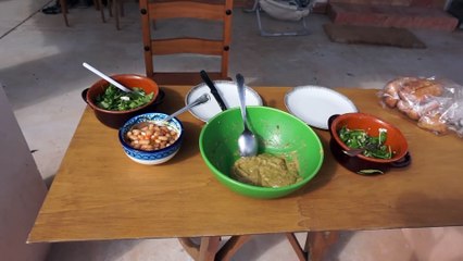 Planting Bougainvillea in the mountains of Spain!