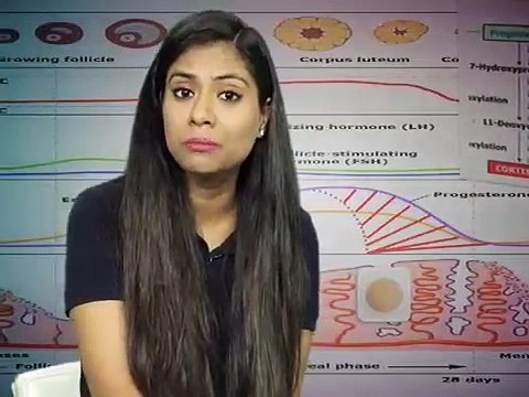 A brief explanation on Polycystic ovary syndrome : Symptoms, Causes, and Treatment