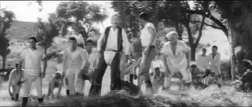 Advance to the Rear Movie (1964) - Glenn Ford, Stella Stevens