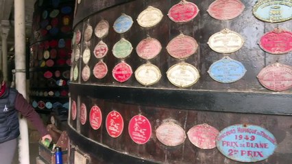 En France, la vente de chevaux de sport bat son plein