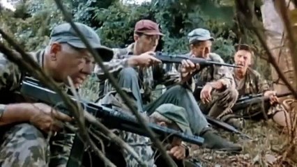 Ambush Bay Movie (1966) Mickey Rooney