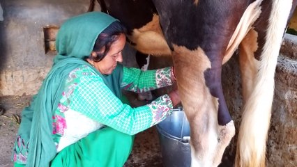 Border Women befitting  reply to Pakistan