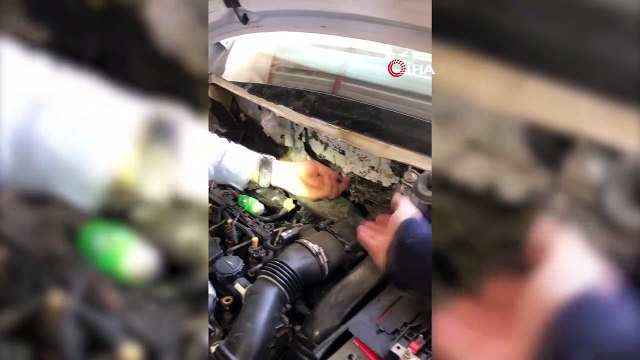 Adana'da 19 kilo 450 gram eroin ele geçirildi