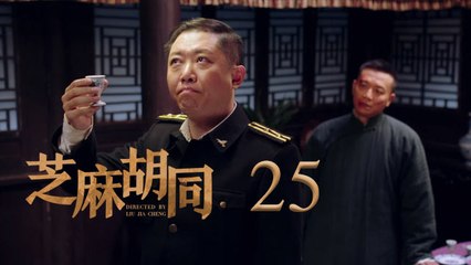 芝麻胡同 25 | Memories Of Peking 25（何冰、王鷗、劉蓓等主演）