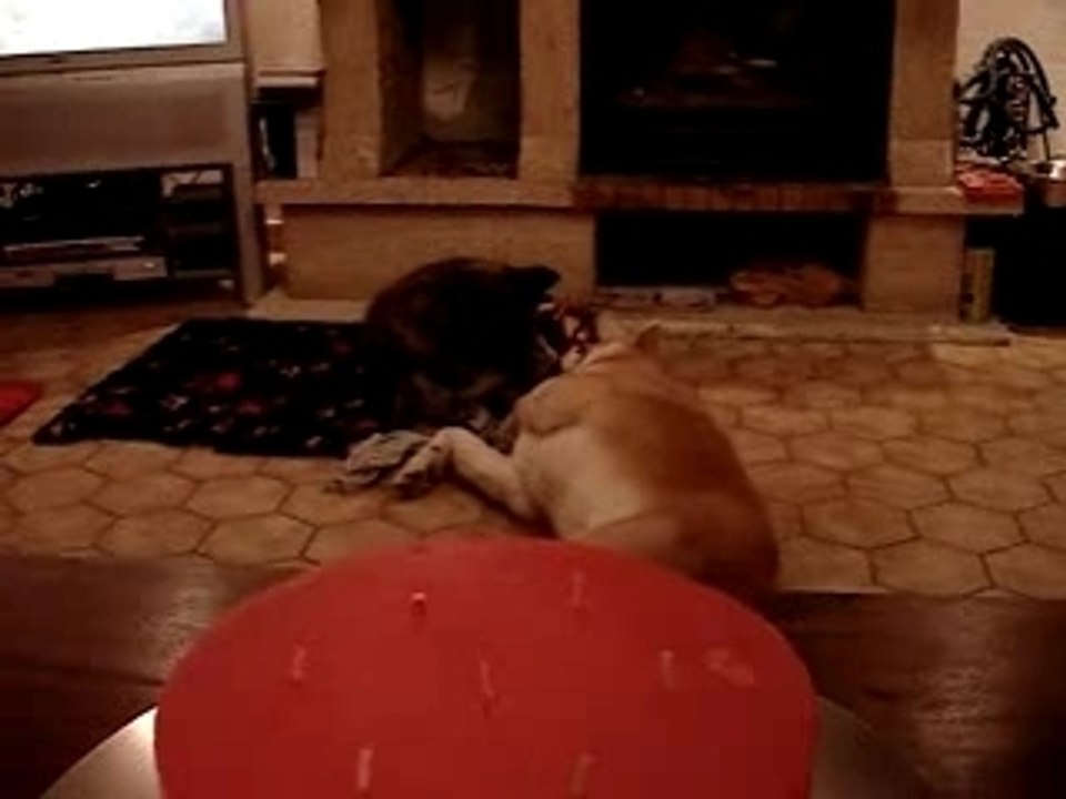 Trop fatiguant de jouer !!!