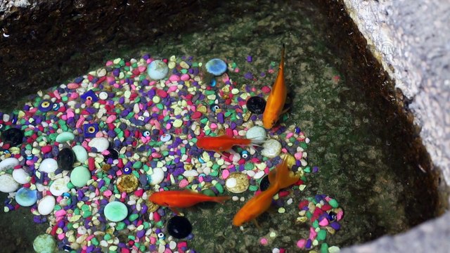 Kadim kentin kayıp lezzetlerinin peşindeler (1) - DİYARBAKIR