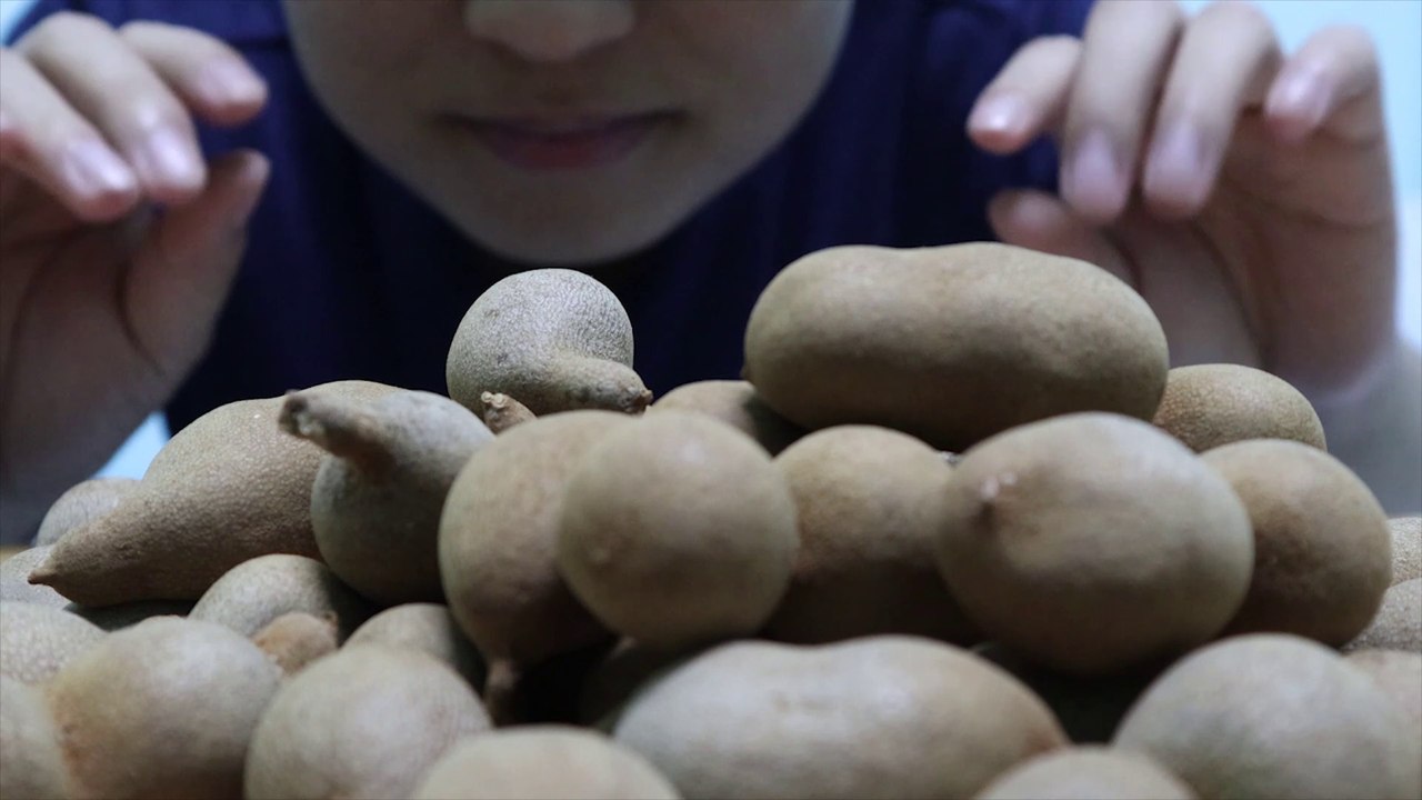 ASMR SWEET TAMARIND (CRISPY BROKEN SOUNDS AND SOFT SOUNDS) | STEVEN PHAN ASMR KING