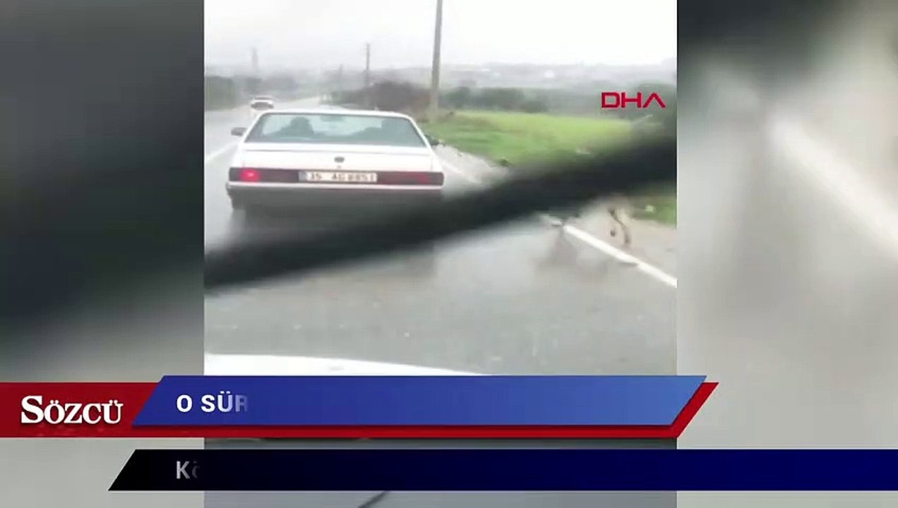 Köpeğini otomobile bağlayıp kilometrelerce koşturan sürücü hakkında işlem yapıldı
