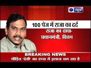 2G scam: A.Raja's pain in 100 pages