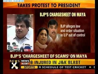 BJP leaders meet President Patil on 'lawlessness' in UP