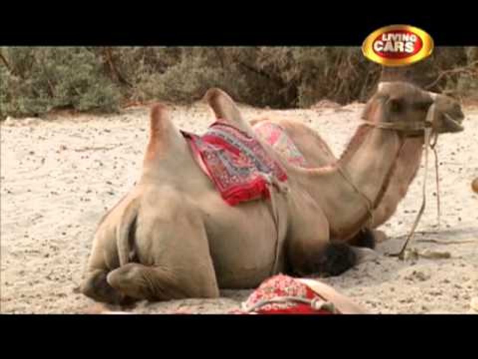 Living Cars Ep 36 Royal Enfield Himalayan Odyssey 2011 Part 1