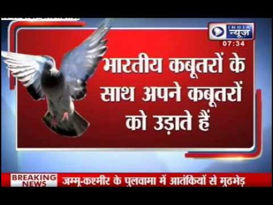 Pakistan pigeon spy