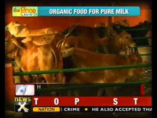 Good News: Organic food for cows for pure ghee, medicine - NewsX