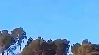 Pakistan Air Force shot down IAF two mig 21  jet 2019  another video