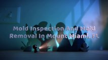 Mold Removal Miami FL | Mold Remediation | Call (786) 837-8278