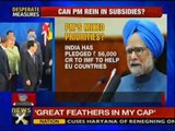 Govt determined to take tough decisions to revive economy: PM - NewsX