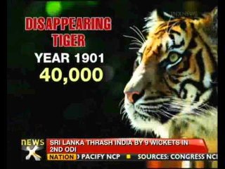 No tourism in core areas of tiger reserves: SC - NewsX