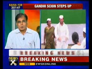 Ready to play more active role in party, govt: Rahul Gandhi - NewsX