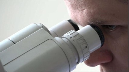 Грипп наступает на Польшу