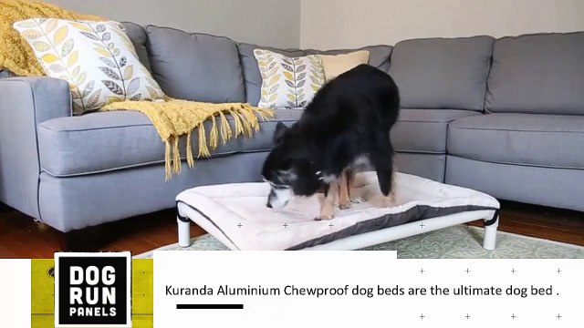 Kuranda Aluminium Raised Dog Beds