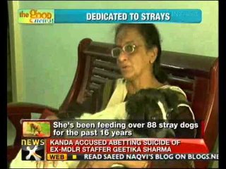 Good news: Radha Ranjan's mission to save street dogs in Chennai - NewsX
