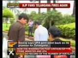 BJP promises create Telangana if voted to power -- NewsX
