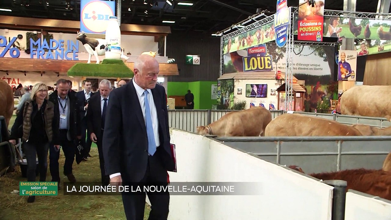 Salon de l'agriculture - Interview d'Alain Rousset