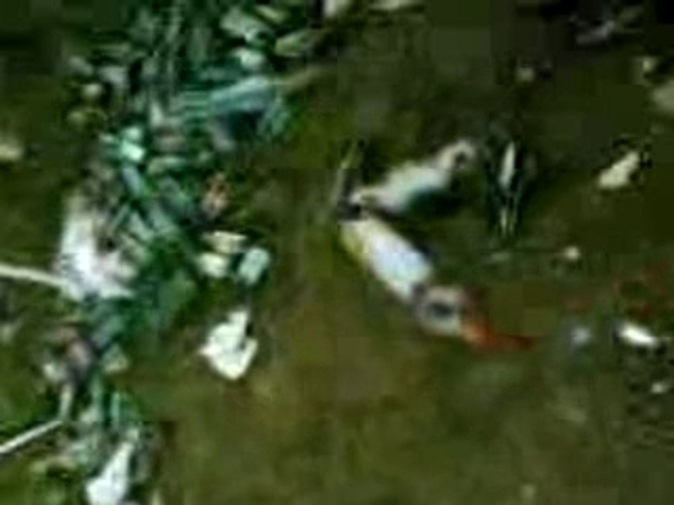 24h du mans moto= 72h de piche